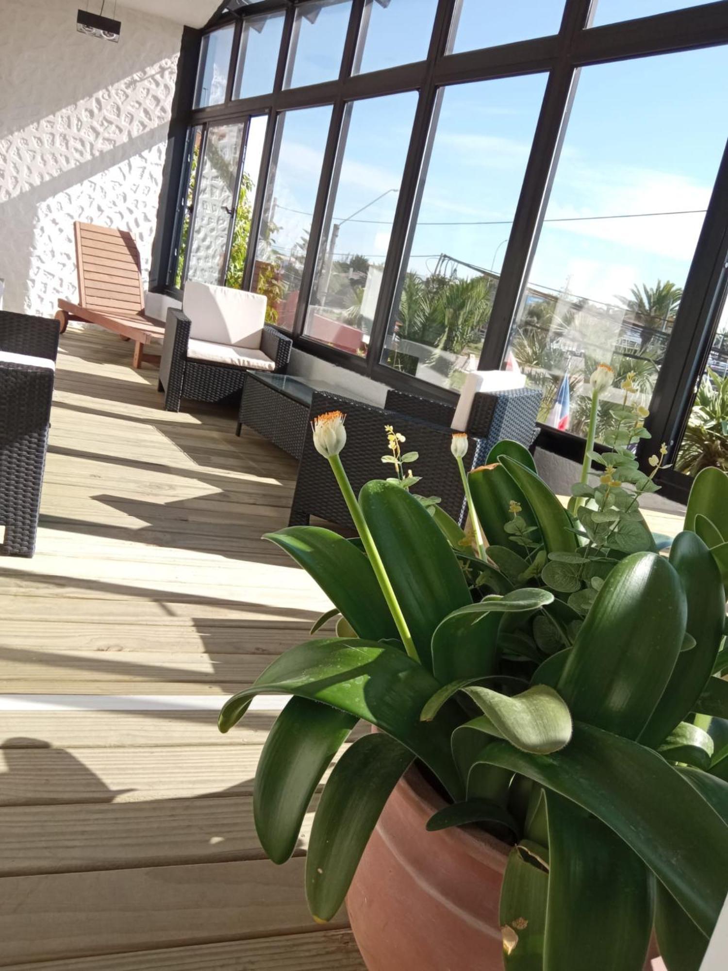 לה פלומה Hotel Bahia מראה חיצוני תמונה